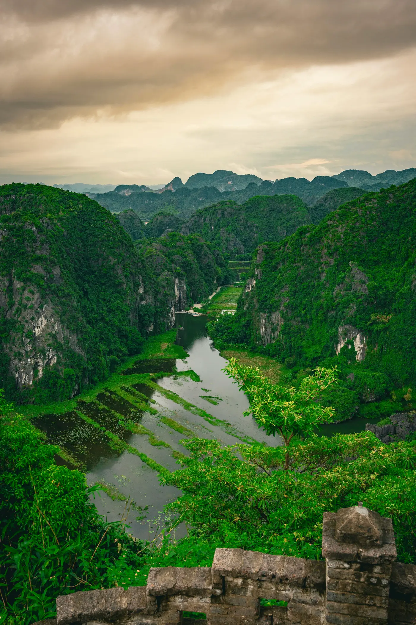 Tam Coc Ninh Binh karsts rivière — baie d'Halong terrestre