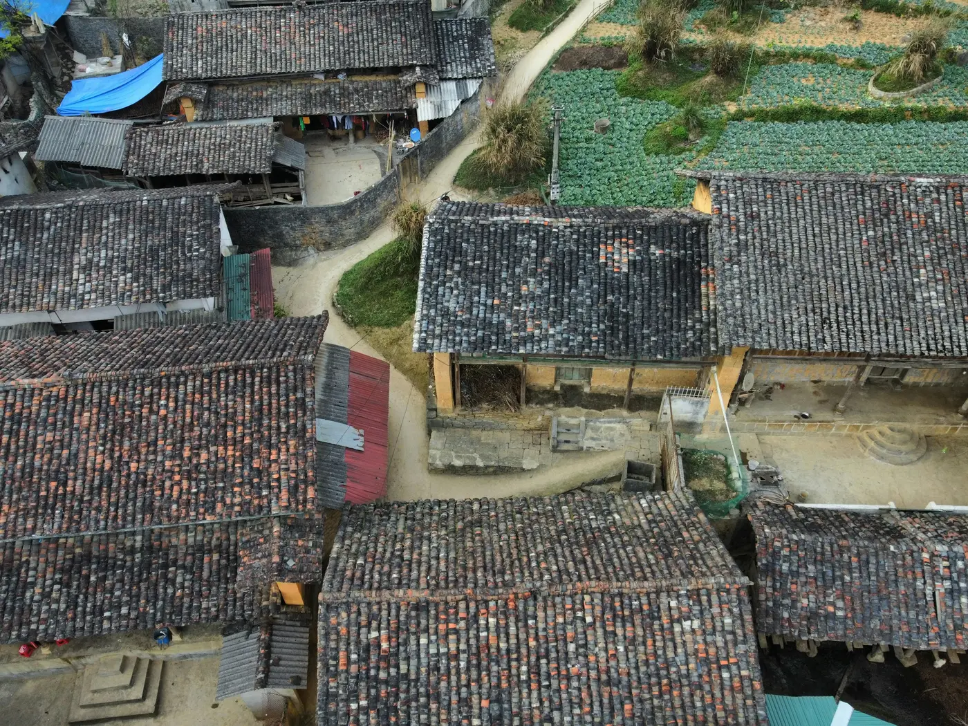 Village H'mong en terrasses — vallée de Sapa, Vietnam