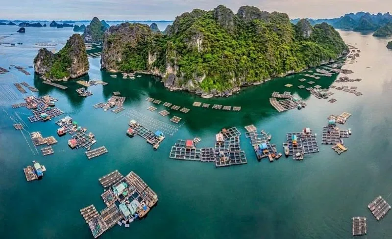 Village flottant Cua Van Ha Long — pêcheurs Vietnam